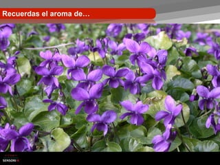 Recuerdas el aroma de…
 