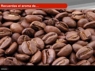 Recuerdas el aroma de…
 