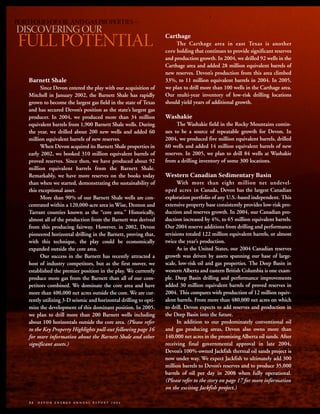 devon energy 2004 AR