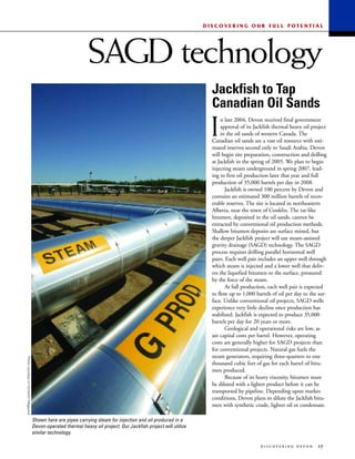 devon energy 2004 AR