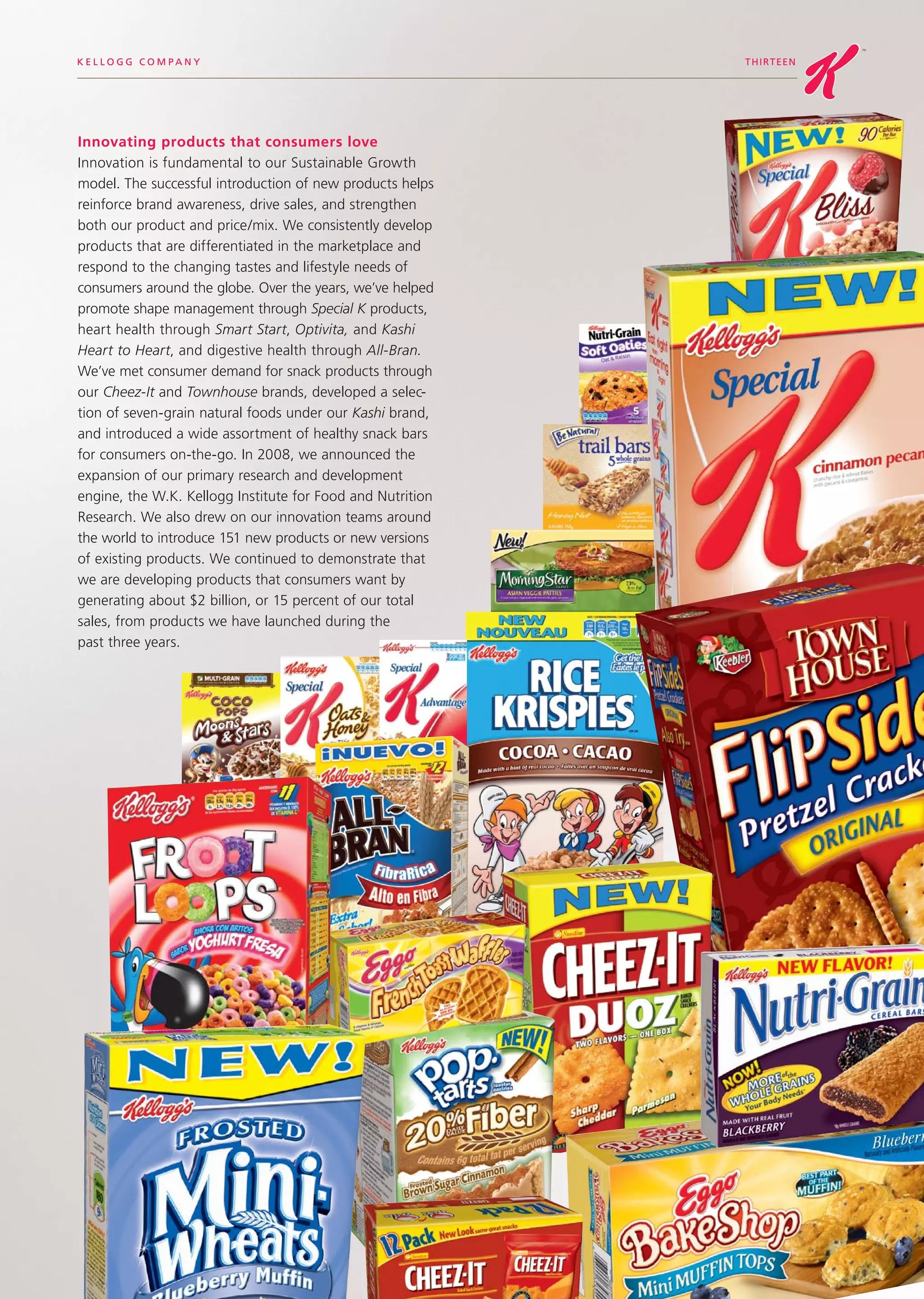 kellogg annual reports 2008