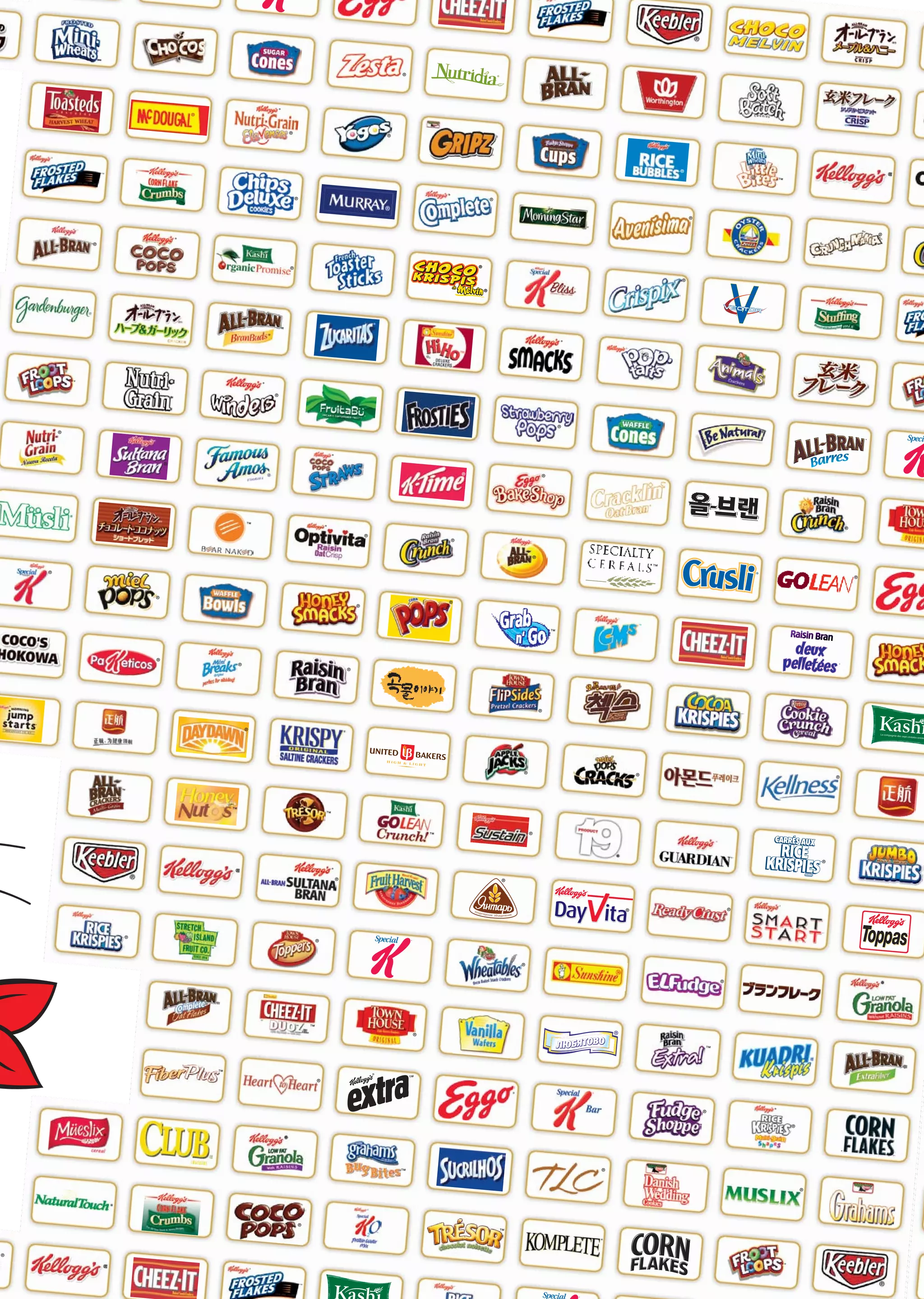 kellogg annual reports 2008