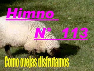 Himno  N°  113 Como ovejas disfrutamos 