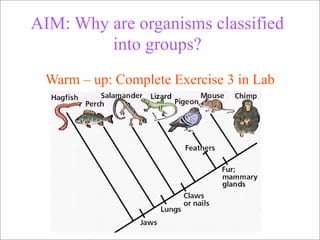 AIM: Why are organisms classified
         into groups?
 Warm – up: Complete Exercise 3 in Lab
 