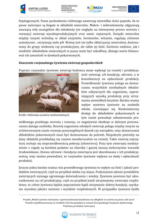 Projekt „Model systemu wdrażania i upowszechniania kształcenia na odległość w uczeniu się przez całe życie”
Projekt współfinansowany ze środków Unii Europejskiej w ramach Europejskiego Funduszu Społecznego
Podstawy produkcji zwierzęcej
11
fizjologicznych. Pasze pochodzenia roślinnego zawierają niewielkie ilości popiołu. Za to
pasze zwierzęce są bogate w składniki mineralne. Makro- i mikroelementy odgrywają
znaczącą rolę szczególnie dla młodzieży (ze względu na intensywny proces wzrostu i
rozwoju) zwierząt wysokoprodukcyjnych oraz samic ciężarnych. Związki mineralne
między innymi wchodzą w skład enzymów, hormonów, witamin, regulują ciśnienie
osmotyczne , utrzymują stałe pH. Ważny jest nie tylko skład paszy mineralnej, dostoso-
wany do grupy wiekowej czy produkcyjnej, ale także jej ilość. Zarówno nadmiar, jak i
niedobór składników mineralnych w paszy może być szkodliwy, dlatego warto bilanso-
wać ich zawartość w dawkach pokarmowych.
Znaczenie racjonalnego żywienia zwierząt gospodarskich
Poprzez racjonalne żywienie zwierząt hodowca może wpłynąć na rozwój i produkcyj-
ność zwierząt, ich kondycję, zdrowie, a w
konsekwencji na opłacalność produkcji.
Prawidłowość żywienia polega na dostar-
czaniu wszystkich niezbędnych składni-
ków odżywczych dla organizmu, zapew-
niających wysoką produkcję przy utrzy-
maniu niewielkich kosztów. Bardzo ważny
wpływ wywiera żywienie na osobniki
młode, rozwijające się. Niedostateczny
dostęp do składników pokarmowych w
tym czasie powoduje zahamowanie pra-
widłowego przebiegu wzrostu i rozwoju, co negatywnie skutkuje w dalszym przezna-
czeniu danego osobnika. Rozwój organizmu młodych zwierząt polega między innymi na
zróżnicowanym czasie rozwoju poszczególnych tkanek czy narządów, więc dostarczanie
składników pokarmowych musi być dostosowane do potrzeb. Niepokryte potrzeby na
dany składnik przekładają się czasem nieodwracalnie na rozwój. Takie zwierzę najczę-
ściej cechuje się nieprawidłowością pokroju (eksterieru). Poza tym zwierzęta niedoży-
wione z reguły są bardziej podatne na choroby i gorzej znoszą niekorzystne warunki
środowiskowe. Znowu zdrowie i kondycja zwierzęcia jest skorelowana z ich produkcyj-
nością, więc można powiedzieć, że racjonalne żywienie wpływa na skalę i opłacalność
produkcji.
Jeszcze jedna bardzo ważna rola prawidłowego żywienia to wpływ na ilość i jakość pro-
duktów zwierzęcych, czyli na przykład mleka czy mięsa. Podnoszenie jakości produktów
zwierzęcych wymaga ogromnego doświadczenia i wiedzy. Żywienie powinno być ukie-
runkowane na cel produkcyjny, czyli na przykład jeżeli utrzymujemy zwierzęta rozpło-
dowe, to celem żywienia będzie poprawienie bądź utrzymanie dobrej kondycji, uzyska-
nie wysokiej jakości nasienia i wyników rozpłodowych. W przypadku żywienia bydła
 