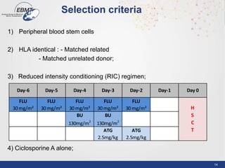 14
1) Peripheral blood stem cells
2) HLA identical : - Matched related
- Matched unrelated donor;
3) Reduced intensity conditioning (RIC) regimen;
4) Ciclosporine A alone;
Selection criteria
FLU
30 mg/m²
FLU
30 mg/m²
FLU
30 mg/m²
FLU
30 mg/m²
FLU
30 mg/m²
BU
130mg/m2
BU
130mg/m2
ATG
2.5mg/kg
ATG
2.5mg/kg
Day-2 Day 0Day-1
H
S
C
T
Day-5 Day-4 Day-3Day-6
 