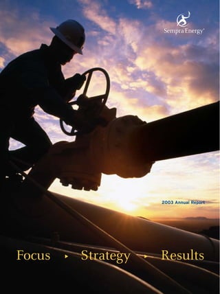 2003 Annual Report




Focus       Strategy       Results
        ▼




                       ▼
 