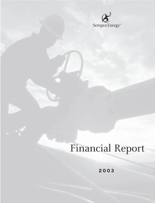 Financial Report
      2003
 