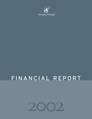 FINANCIAL REPORT




   2002
 