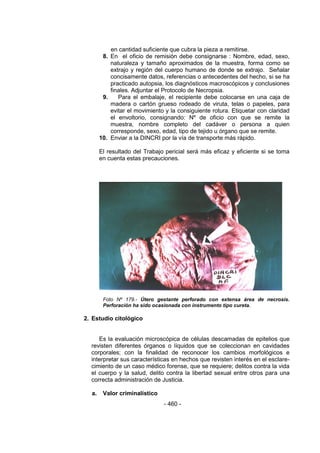 - 460 - 
en cantidad suficiente que cubra la pieza a remitirse. 
8. En el oficio de remisión debe consignarse : Nombre, edad, sexo, naturaleza y tamaño aproximados de la muestra, forma como se extrajo y región del cuerpo humano de donde se extrajo. Señalar concisamente datos, referencias o antecedentes del hecho, si se ha practicado autopsia, los diagnósticos macroscópicos y conclusiones finales. Adjuntar el Protocolo de Necropsia. 
9. Para el embalaje, el recipiente debe colocarse en una caja de madera o cartón grueso rodeado de viruta, telas o papeles, para evitar el movimiento y la consiguiente rotura. Etiquetar con claridad el envoltorio, consignando: Nº de oficio con que se remite la muestra, nombre completo del cadáver o persona a quien corresponde, sexo, edad, tipo de tejido u órgano que se remite. 
10. Enviar a la DINCRI por la vía de transporte más rápido. 
El resultado del Trabajo pericial será más eficaz y eficiente si se toma en cuenta estas precauciones. 
Foto Nº 179.- Útero gestante perforado con extensa área de necrosis. Perforación ha sido ocasionada con instrumento tipo cureta. 
2. Estudio citológico 
Es la evaluación microscópica de células descamadas de epitelios que revisten diferentes órganos o líquidos que se coleccionan en cavidades corporales; con la finalidad de reconocer los cambios morfológicos e interpretar sus características en hechos que revisten interés en el esclare- cimiento de un caso médico forense, que se requiere; delitos contra la vida el cuerpo y la salud, delito contra la libertad sexual entre otros para una correcta administración de Justicia. 
a. Valor criminalístico  