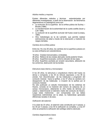 - 472 - 
Adultos medios y mayores 
Existen diferentes métodos y técnicas estandarizadas por diferentes investigadores, a partir de la observación de fenómenos degenerativos no patológicos como son: 
 La evolución de la superficie de la sínfisis púbica de Suchey – Brooks (1986). 
 La transformación de la extremidad de la cuarta costilla (Iscan y Loth 1989). 
 La evolucón de la superficie auricular del hueso coxal (Lovejoy, 1985). 
 Otra metodología es la de Lamedin, que permite realizar estimaciones de edad a través de la obsrvación y medición de rasgos dentales. 
Cambios de la sínfisis púbica 
Entre los 18 a los 50 años, los cambios de la superficie pubiana en su cara sínfisiaria son característicos. 
18 años: Crestas transversales u onduladas. 
26 años: Relieve de las crestas atenuado, borde posterior limpio. 
45 años: Superficie excavada, contorno elevado de las cejas. 
50 años: Superficie acortada por erosión secundaria, alteración de los contornos, destrucción de los bordes. 
Estructura ósea interna y microscópica 
A los 20 años, la estructura o arquitectura interna del hueso es densa o compacta; a los 35 es retículo esponjoso; a los 46 es areolar, han discontinuidad de las trabéculas y progresión del conducto medular hacia la epífisis; a los 57 años es cavitaria con desaparición de las trabéculas e invasión de la epífisis por el conducto medular. 
Ha sido publicado un estudio microscópico de los sistemas de Havers, consiste en la medición del número de osteones de un campo microscópico, obteniendo la cifra media de láminas por osteón y determinando el diámetro medio del conducto de Havers. Luego estas mediciones son comparadas con las tablas respectivas estimándose así la edad, no habiendose apreciado diferencias raciales ni de sexo. 
Osificación del esternón 
A la edad de 23 años, el esternón esta constituído por 4 piezas; a los 30 por 3 piezas; a los 40 la osificación es completa; y a los 57 años se presenta la osificación del cartílago externo clavicular. 
Cambios degenerativos óseos  