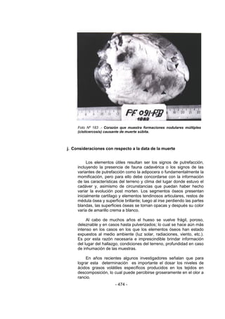 - 474 - 
Foto Nº 183 .- Corazón que muestra formaciones nodulares múltiples (cisticercosis) causante de muerte súbita. 
j. Consideraciones con respecto a la data de la muerte 
Los elementos útiles resultan ser los signos de putrefacción, incluyendo la presencia de fauna cadavérica o los signos de las variantes de putrefacción como la adipocera o fundamentalmente la momificación, pero para ello debe concordarse con la información de las características del terreno y clima del lugar donde estuvo el cadáver y, asimismo de circunstancias que puedan haber hecho variar la evolución post morten. Los segmentos óseos presentan inicialmente cartílago y elementos tendinosos articulares, restos de médula ósea y superficie brillante; luego al irse perdiendo las partes blandas, las superficies óseas se tornan opacas y después su color varía de amarillo crema a blanco. 
Al cabo de muchos años el hueso se vuelve frágil, poroso, deleznable y en casos hasta pulverizados; lo cual se hace aún más intenso en los casos en los que los elementos óseos han estado expuestos al medio ambiente (luz solar, radiaciones, viento, etc.). Es por esta razón necesaria e imprescindible brindar información del lugar del hallazgo, condiciones del terreno, profundidad en caso de inhumación de las muestras. 
En años recientes algunos investigadores señalan que para lograr esta determinación es importante el dosar los niveles de ácidos grasos volátiles específicos producidos en los tejidos en descomposición, lo cual puede percibirse groseramente en el olor a rancio.  