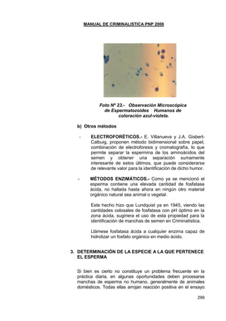 MANUAL DE CRIMINALISTICA PNP 2006 
299 
Foto Nº 23.- Observación Microscópica 
de Espermatozoides Humanos de 
coloración azul-violeta. 
b) Otros métodos 
- ELECTROFORÉTICOS.- E. Villanueva y J.A. Gisbert- Calbuig, proponen método bidimensional sobre papel, combinación de electroforesis y cromatografía, lo que permite separar la espermina de los aminoácidos del semen y obtener una separación sumamente interesante de estos últimos, que puede considerarse de relevante valor para la identificación de dicho humor. 
- MÉTODOS ENZIMÁTICOS.- Como ya se mencionó el esperma contiene una elevada cantidad de fosfatasa ácida, no hallada hasta ahora en ningún otro material orgánico natural sea animal o vegetal. 
Este hecho hizo que Lundquist ya en 1945, viendo las cantidades colosales de fosfatasa con pH óptimo en la zona ácida, sugiriera el uso de esta propiedad para la identificación de manchas de semen en Criminalística. 
Llámese fosfatasa ácida a cualquier enzima capaz de hidrolizar un fosfato orgánico en medio ácido. 
3. DETERMINACIÓN DE LA ESPECIE A LA QUE PERTENECE EL ESPERMA 
Si bien es cierto no constituye un problema frecuente en la práctica diaria, en algunas oportunidades deben procesarse manchas de esperma no humano, generalmente de animales domésticos. Todas ellas arrojan reacción positiva en el ensayo  