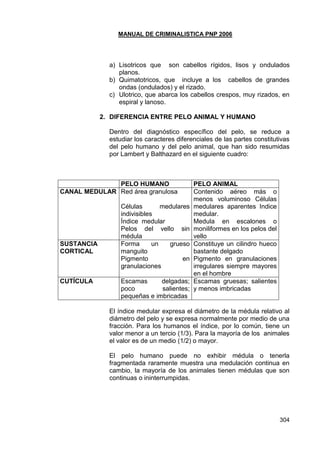 MANUAL DE CRIMINALISTICA PNP 2006 
304 
a) Lisotricos que son cabellos rígidos, lisos y ondulados planos. 
b) Quimatotricos, que incluye a los cabellos de grandes ondas (ondulados) y el rizado. 
c) Ulotrico, que abarca los cabellos crespos, muy rizados, en espiral y lanoso. 
2. DIFERENCIA ENTRE PELO ANIMAL Y HUMANO 
Dentro del diagnóstico específico del pelo, se reduce a estudiar los caracteres diferenciales de las partes constitutivas del pelo humano y del pelo animal, que han sido resumidas por Lambert y Balthazard en el siguiente cuadro: 
PELO HUMANO 
PELO ANIMAL 
CANAL MEDULAR 
Red área granulosa 
Células medulares indivisibles 
Índice medular 
Pelos del vello sin médula 
Contenido aéreo más o menos voluminoso Células medulares aparentes Indice medular. 
Medula en escalones o moniliformes en los pelos del vello 
SUSTANCIA CORTICAL 
Forma un grueso manguito 
Pigmento en granulaciones 
Constituye un cilindro hueco bastante delgado 
Pigmento en granulaciones irregulares siempre mayores en el hombre 
CUTÍCULA 
Escamas delgadas; poco salientes; pequeñas e imbricadas 
Escamas gruesas; salientes y menos imbricadas 
El índice medular expresa el diámetro de la médula relativo al diámetro del pelo y se expresa normalmente por medio de una fracción. Para los humanos el índice, por lo común, tiene un valor menor a un tercio (1/3). Para la mayoría de los animales el valor es de un medio (1/2) o mayor. 
El pelo humano puede no exhibir médula o tenerla fragmentada raramente muestra una medulación continua en cambio, la mayoría de los animales tienen médulas que son continuas o ininterrumpidas. 
 