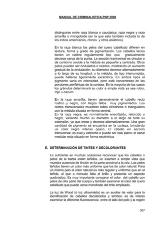 MANUAL DE CRIMINALISTICA PNP 2006 
307 
distinguirse entre raza blanca o caucásica, raza negra y raza amarilla o mongoloide (en la que esta también incluida la de los indios americanos, chinos y otros asiáticos). 
En la raza blanca los pelos del cuero cabelludo difieren en textura, forma y grado de pigmentación. Los cabellos lacios tienen un calibre regularmente liso, que gradualmente decrece cerca de la punta. La sección transversal es circular o de contorno ovoide y la médula es pequeña y centrada. Otros pelos pueden ser ondulados o rizados, mostrando un aumento gradual de la ondulación; su diámetro decrece alternadamente a lo largo de su longitud, y la médula, de tipo interrumpida, puede hallarse ligeramente excéntrica. En ambos tipos el pigmento varía en intensidad, pero está concentrado en las porciones periféricas de la corteza. En la mayoría de los casos los gránulos determinará su color a simple vista ya sea rubio, rojo u oscuro. 
En la raza amarilla, tienen generalmente el cabello recto rústico y negro, con largos tallos muy pigmentados. Los cortes transversales muestran tallos cilíndricos o triangulares con la médula situada en forma central. 
En la raza negra, es normalmente ensortijado, retorcido y negro, variando mucho su diámetro a lo largo de toda su extensión, ya que crece y decrece alternativamente. Una gran cantidad de pigmento se encuentra en la corteza, brindando un color negro intenso opaco. El cabello en sección transversal, es oval y estrecho o puede ser casi plano; el canal medular esta situado en forma excéntrica. 
E. DETERMINACIÓN DE TINTES Y DECOLORANTES 
Es suficiente en muchas ocasiones reconocer que los cabellos o pelos de la barba están teñidos, un examen a simple vista que muestra ausencia de tinción en la parte proximal a la raíz. Los pelos teñidos tienen un color más uniforme que los de color natural. Para un mismo pelo el color natural es más regular y uniforme que en el teñido, al que a menudo falta el brillo y presenta un aspecto quebradizo. Es muy importante comparar el color del cabello con pelos de otra parte del cuerpo y también examinar el color del cuero cabelludo que puede verse manchado del tinte empleado. 
La luz de Wood (o luz ultravioleta) es un auxiliar de valor para la identificación de cabellos decolorados y teñidos: es de interés examinar la diferente fluorescencia entre el tallo del pelo y la región  