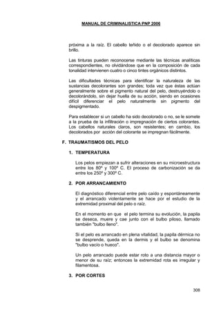 MANUAL DE CRIMINALISTICA PNP 2006 
308 
próxima a la raíz. El cabello teñido o el decolorado aparece sin brillo. 
Las tinturas pueden reconocerse mediante las técnicas analíticas correspondientes, no olvidándose que en la composición de cada tonalidad intervienen cuatro o cinco tintes orgánicos distintos. 
Las dificultades técnicas para identificar la naturaleza de las sustancias decolorantes son grandes; toda vez que éstas actúan generalmente sobre el pigmento natural del pelo, destruyéndolo o decolorándolo, sin dejar huella de su acción, siendo en ocasiones difícil diferenciar el pelo naturalmente sin pigmento del despigmentado. 
Para establecer si un cabello ha sido decolorado o no, se le somete a la prueba de la infiltración o impregnación de ciertos colorantes. Los cabellos naturales claros, son resistentes; en cambio, los decolorados por acción del colorante se impregnan fácilmente. 
F. TRAUMATISMOS DEL PELO 
1. TEMPERATURA 
Los pelos empiezan a sufrir alteraciones en su microestructura entre los 80º y 100º C. El proceso de carbonización se da entre los 250º y 300º C. 
2. POR ARRANCAMIENTO 
El diagnóstico diferencial entre pelo caído y espontáneamente y el arrancado violentamente se hace por el estudio de la extremidad proximal del pelo o raíz. 
En el momento en que el pelo termina su evolución, la papila se deseca, muere y cae junto con el bulbo piloso, llamado también "bulbo lleno". 
Si el pelo es arrancado en plena vitalidad, la papila dérmica no se desprende, queda en la dermis y el bulbo se denomina "bulbo vacío o hueco". 
Un pelo arrancado puede estar roto a una distancia mayor o menor de su raíz; entonces la extremidad rota es irregular y filamentosa. 
3. POR CORTES 
 