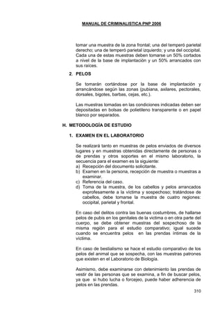 MANUAL DE CRIMINALISTICA PNP 2006 
310 
tomar una muestra de la zona frontal; una del temperó parietal derecho; una de temperó parietal izquierdo; y una del occipital. Cada una de estas muestras deben tomarse un 50% cortados a nivel de la base de implantación y un 50% arrancados con sus raíces. 
2. PELOS 
Se tomarán cortándose por la base de implantación y arrancándose según las zonas (pubiana, axilares, pectorales, dorsales, bigotes, barbas, cejas, etc.). 
Las muestras tomadas en las condiciones indicadas deben ser depositadas en bolsas de polietileno transparente o en papel blanco por separados. 
H. METODOLOGÍA DE ESTUDIO 
1. EXAMEN EN EL LABORATORIO 
Se realizará tanto en muestras de pelos enviados de diversos lugares y en muestras obtenidas directamente de personas o de prendas y otros soportes en el mismo laboratorio, la secuencia para el examen es la siguiente: 
a) Recepción del documento solicitante. 
b) Examen en la persona, recepción de muestra o muestras a examinar. 
c) Referencia del caso. 
d) Toma de la muestra, de los cabellos y pelos arrancados exprofesamente a la víctima y sospechoso; tratándose de cabellos, debe tomarse la muestra de cuatro regiones: occipital, parietal y frontal. 
En caso del delitos contra las buenas costumbres, de hallarse pelos de pubis en los genitales de la victima o en otra parte del cuerpo, se debe obtener muestras del sospechoso de la misma región para el estudio comparativo; igual sucede cuando se encuentra pelos en las prendas íntimas de la víctima. 
En caso de bestialismo se hace el estudio comparativo de los pelos del animal que se sospecha, con las muestras patrones que existen en el Laboratorio de Biología. 
Asimismo, debe examinarse con detenimiento las prendas de vestir de las personas que se examina, a fin de buscar pelos, ya que si hubo lucha o forcejeo, puede haber adherencia de pelos en las prendas.  