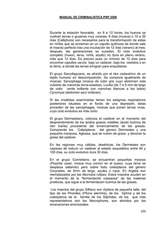 MANUAL DE CRIMINALISTICA PNP 2006 
330 
Durante la estación favorable, en 8 a 12 horas, los huevos se vuelven larvas o gusanos muy voraces, 8 días (musca) o 10 a 20 días (Calliphora) son necesarios para la transformación de estas en ninfas que se encierran en un capullo quitinoso de donde sale el insecto perfecto tras una incubación de 12 días (verano) al mes; después, las generaciones se suceden. El ciclo evolutivo completo (huevo, larva, ninfa, adulto) no dura en pleno verano, más que 12 días. Es preciso pues un mínimo de 12 días para encontrar capullos vacíos bajo un cadáver, bajo los vestidos o en la tierra, a donde las larvas emigran para enquistarse. 
El grupo Sarcofaguiano, es atraído por el olor cadavérico de un tejido humano en descomposición. Se compone igualmente de moscas: Sarcophaga (mosca de color gris cuyo abdomen esta cubierto de manchas torna-soladas), Lucilia (de 7 a 9 mm de largo de color verde brillante con manchas blancas a los lados) Cynomyia (abdomen azul violáceo). 
Si las crisálidas examinadas tienen los estigmas respiratorios posteriores situados en el fondo de una depresión, éstas proceden de las sarcóphagas, moscas que ponen larvas vivas, cuyo ciclo evolutivo es más corto. 
El grupo Dermestiano, coloniza el cadáver en el momento del desprendimiento de los ácidos grasos volátiles (ácido butírico de olor fuerte) procedente del enranciamiento de las grasas. Comprende los Coleópteros del genero Dermestes y una pequeña mariposa, Aglossa, que se nutren de grasa y devoran la grasa del cadáver. 
En las regiones muy cálidas, desérticas, los Dermestes son capaces de reducir un cadáver al estado esquelético entre 40 y 100 días, su ciclo evolutivo dura 30 días. 
En el grupo Corinetiano, se encuentran pequeñas moscas (Piophila casei, mosca muy común en el queso, cuya larva se desplaza saltando) pero sobre todo coleópteros del género Corynetes, de 5mm de largo, azules o rojos. En Argelia son reemplazados por las Necrobia rufipes. Estos insectos acuden en el momento de la "fermentación caseaosa" de las materias protéicas, que sigue a la fermentación butírica de las grasas. 
Los insectos del grupo Silfiano son dípteos de pequeña talla, del tipo de los Phorides (Phora aterrima), de los Ophira y de los coleópteros de la familia de los Silphides, de los que más representativos son los Necrophores, son atraídos por las emanaciones amoniacales.  