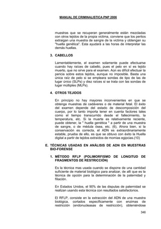 MANUAL DE CRIMINALISTICA PNP 2006 
346 
muestras que se recuperan generalmente están mezcladas con otros tejidos de la propia victima, conviene que los peritos extraigan una muestra de sangre de la victima y obtengan su "huella genética". Esta ayudará a las horas de interpretar las demás huellas. 
3. CABELLOS 
Lamentablemente, el examen solamente puede efectuarse cuando hay raíces de cabello, pues el pelo en sí es tejido muerto, que no sirve para el examen. Aún es difícil efectuar la pericia sobre estos tejidos, aunque no imposible. Basta una única raíz de pelo si se empleara sondas de tipo de las de lugar único (SLPs) y diez raíces si se trata con las sondas de lugar múltiples (MLPs). 
4. OTROS TEJIDOS 
En principio no hay mayores inconvenientes en que se obtenga muestras de cadáveres o de material fetal. El éxito del examen depende del estado de descomposición del cuerpo, por lo tanto importa tener en cuenta factores tales como el tiempo transcurrido desde el fallecimiento, la temperatura, etc. Si la muerte es relativamente reciente, puede obtener, la " huella genética " a partir de una muestra de sangre, o de médula ósea, etc. (6), Ahora bien, si la conservación es correcta, el ADN es extraordinariamente estable, prueba de ello, es que se obtuvo con éxito la Huella digital a partir de tejidos extraídos de momias egipcias.(10) 
E. TÉCNICAS USADAS EN ANÁLISIS DE ADN EN MUESTRAS BIO-FORENSE 
1. MÉTODO RFLP (POLIMORFISMO DE LONGITUD DE FRAGMENTOS DE RESTRICCIÓN) 
Es la técnica mas usada cuando se dispone de una cantidad suficiente de material biológico para analizar, de allí que es la técnica de opción para la determinación de la paternidad y filiación. 
En Estados Unidos, el 90% de las disputas de paternidad se realizan usando esta técnica con resultados satisfactorios. 
El RFLP, consiste en la extracción del ADN de una muestra biológica, cortados específicamente con enzimas de restricción (endonucleasas de restricción), obteniéndose  