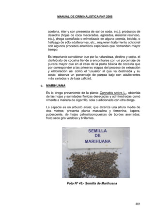 MANUAL DE CRIMINALISTICA PNP 2006 
481 
acetona, éter y con presencia de sal de soda, etc.); productos de desecho (hojas de coca maceradas, agotadas, material resinoso, etc.), droga camuflada o mimetizada en alguna prenda, bebida, o hallazgo de sólo adulterantes, etc., requieren tratamiento adicional con algunos procesos analíticos especiales que demandan mayor tiempo. 
Es importante considerar que por la naturaleza, destino y costo, el clorhidrato de cocaína tiende a encontrarse con un porcentaje de pureza mayor que en el caso de la pasta básica de cocaína que por corresponder a las primeras etapas del proceso de extracción y elaboración así como el ―usuario‖ al que va destinada y su costo, observa un porcentaje de pureza bajo con adulterantes más variados y de baja calidad. 
c. MARIHUANA 
Es la droga proveniente de la planta Cannabis sativa L., obtenida de las hojas y sumidades floridas desecadas y administradas comú nmente a manera de cigarrillo, sola o adicionada con otra droga. 
La especie es un arbusto anual, que alcanza una altura media de dos metros; presenta planta masculina y femenina, áspera, pubescente, de hojas palmaticompuestas de bordes aserrados; fruto seco gris verdoso y brillantes. 
Foto Nº 46.- Semilla de Marihuana 
 