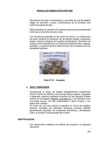 MANUAL DE CRIMINALISTICA PNP 2006 
483 
abundantes las rojas o anaranjadas y, que antes de que los pétalos caigan se arrancan y secan, constituyendo así la envoltura que cubrirá los panes de opio. 
Media hectárea de sembrío de amapola produce aproximadamente entre tres a cinco kilos de opio crudo. 
Las incursiones policiales en las zonas de cultivo, y la destrucción de estos mediante la extracción de las plantas adultas y pequeños brotes, motiva la remisión de muestras al laboratorio. El examen se realiza primero identificando los elementos botánicos (flor, cápsula, semillas), y posteriormente la determinación de la presencia de los alcaloides opiáceos. 
Foto Nº 47.- Amapola 
e. OPIO Y DERIVADOS 
Corresponde al grupo de drogas estupefacientes propiamente dichas. Puede ser definido como el jugo (látex) espeso, coagulado y desecado, obtenido mediante incisiones en las cápsulas frutales verdes de la amapola (Papaver somniferum L.). Se presenta como una pasta oscura, con olor característico a tierra mojada y con sabor acre, amargo. 
Su forma de uso varía desde la ingestión en forma de pastillas, píldoras, mezclado con alimentos, golosinas (oriente), bebidas generalmente asociado con sustancias aromáticas y afrodisíacas (Irán), al fumado (muchas partes del mundo). 
IDENTIFICACION 
Las operaciones analíticas se ordenan de acuerdo a la siguiente secuencia: 
 