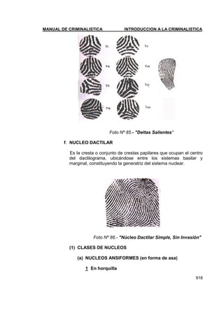 Manual de Criminalistica