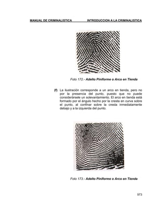 Manual de Criminalistica