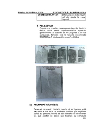 Manual de Criminalistica