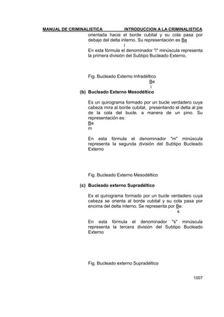 Manual de Criminalistica