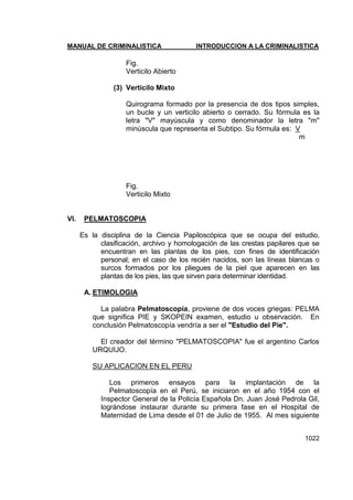 Manual de Criminalistica