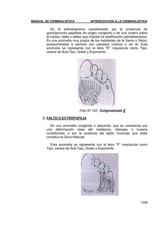 Manual de Criminalistica