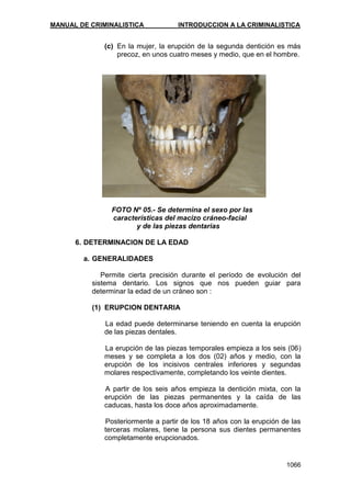 Manual de Criminalistica