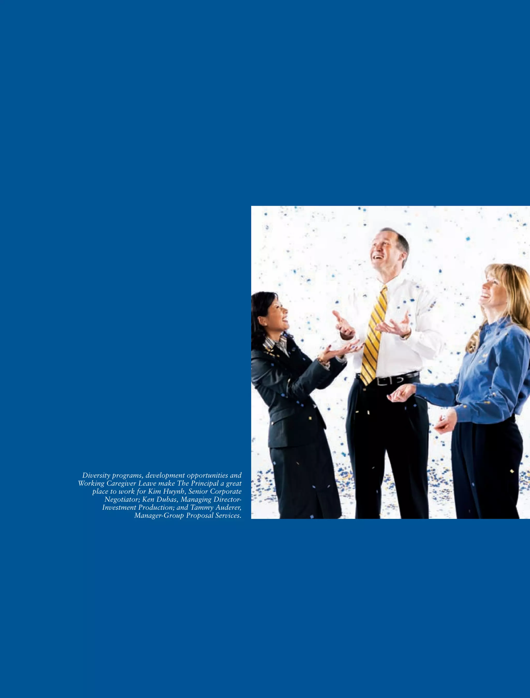 principal financial 2006 annual report