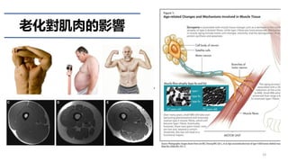 19
老化對肌肉的影響
 
