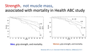 Strength，not muscle mass,
associated with mortality in Health ABC study
Newman AB et. al. J Gerontol A Biol Sci Med Sci. 2006;61(1):72-7.
Men, grip strength, and mortality. Women, grip strength, and mortality.
 