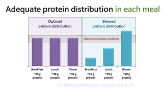 Adequate protein distribution in each meal
Optimal
protein distribution
Skewed
protein distribution
Maximum protein synthesis
Breakfast
~30 g
protein
Lunch
~30 g
protein
Dinner
~30 g
protein
Breakfast
~10 g
protein
Lunch
~20 g
protein
Dinner
~60 g
protein
Curr Opin Clin Nutr Metab Care. 2009 Jan; 12(1): 86–90.
 