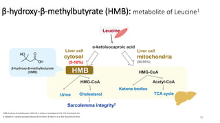 Liver cell
cytosol
(5-10%)
Cholesterol
Urine
HMG-CoA
HMG-CoA
Ketone bodies
Acetyl-CoA
TCA cycle
α-ketoisocaproic acid
Leucine
Liver cell
mitochondria
(90-95%)
HMB
Sarcolemma integrity2
β-hydroxy-β-methylbutyrate (HMB): metabolite of Leucine1
1. Holeček M. J Cachexia Sarcopenia Muscle 2017;8:529-41. 2. Albert FJ, et al. Nutr Hosp 2015;32:20-33.
HMB, β-hydroxy-β-methylbutyrate; HMG-CoA, 3-hydroxy-3-methylglutaryl-CoA; TCA, tricarboxylic acid.
β-hydroxy-β-methylbutyrate
(HMB)
55
 