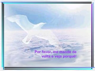 Por favor, me mande de volta e veja porquê! 