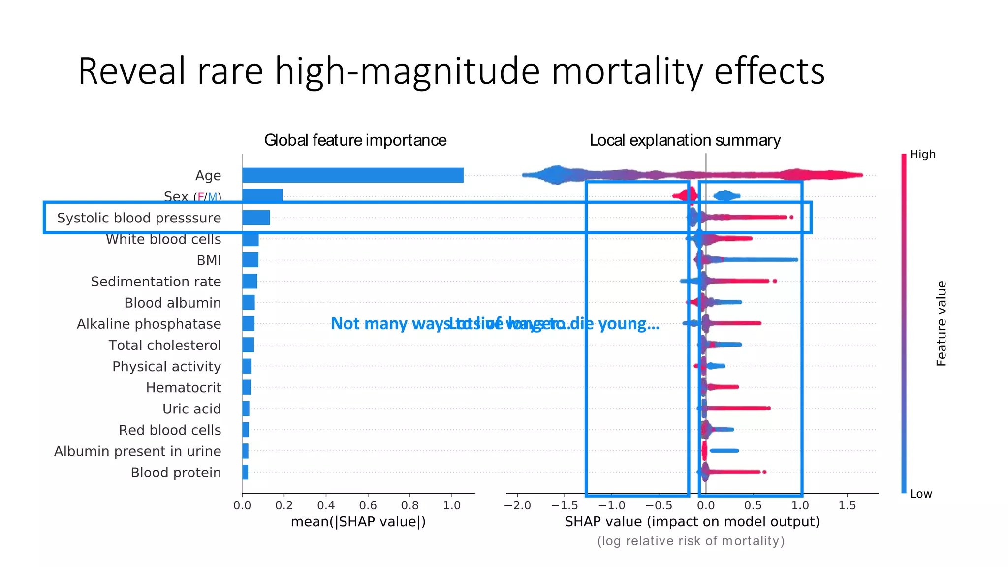 Reveal rare high-magnitude mortality effects
Global feature importance Local explanation summary(A)
(log relative risk of mortality)
Mortality model
(F/M)
Lots of ways to die young…Not many ways to live longer…
 
