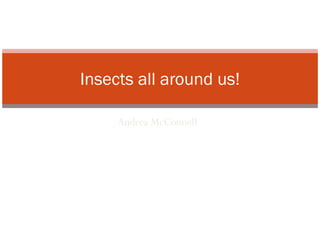 Andrea McConnell Insects all around us! 