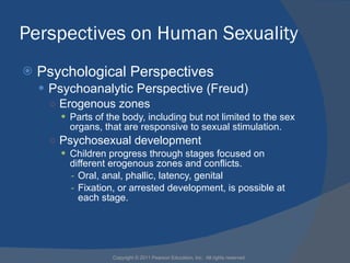 Perspectives on Human Sexuality <ul><li>Psychological Perspectives </li></ul><ul><ul><li>Psychoanalytic Perspective (Freud...