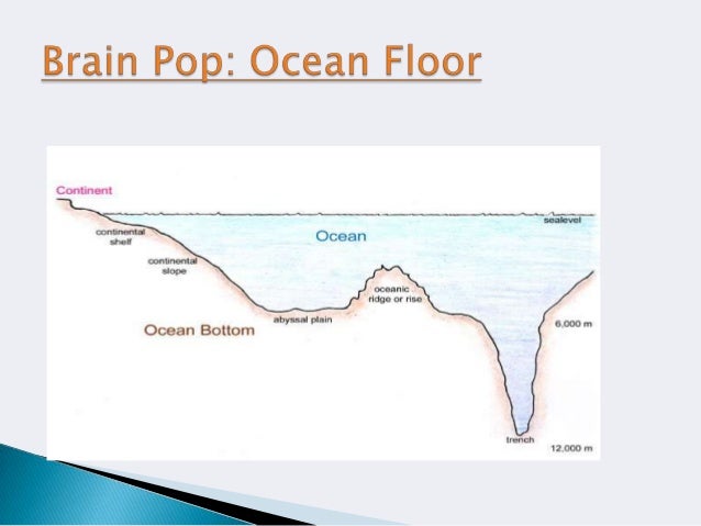 Features On The Ocean Floor Textbook Pages 384 386