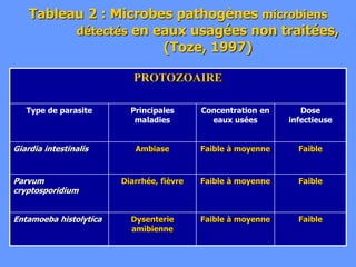 Tableau 2 : Microbes pathogènes microbiens
détectés en eaux usagées non traitées,
(Toze, 1997)
PROTOZOAIRE
Type de parasite Principales
maladies
Concentration en
eaux usées
Dose
infectieuse
Giardia intestinalis Ambiase Faible à moyenne Faible
Parvum
cryptosporidium
Diarrhée, fièvre Faible à moyenne Faible
Entamoeba histolytica Dysenterie
amibienne
Faible à moyenne Faible
 