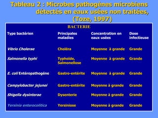 Tableau 2 : Microbes pathogènes microbiens
détectés en eaux usées non traitées,
(Toze, 1997)
BACTERIE
Type bactérien Principales
maladies
Concentration en
eaux usées
Dose
infectieuse
Vibrio Cholerae Choléra Moyenne à grande Grande
Salmonella typhi Typhoïde,
Salmonellose
Moyenne à grande Grande
E. coli Entéropathogéne Gastro-entérite Moyenne à grande Grande
Campylobacter jejunei Gastro-entérite Moyenne à grande Grande
Shigella dysinterae Dysenterie Moyenne à grande Grande
Yersinia enterocolitica Yersiniose Moyenne à grande Grande
 