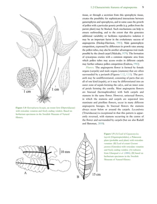 Early Flowers And Angiosperm Evolution Else Marie Friis Peter R Crane | PDF