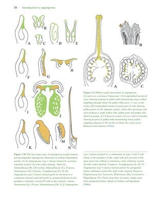 Early Flowers And Angiosperm Evolution Else Marie Friis Peter R Crane | PDF
