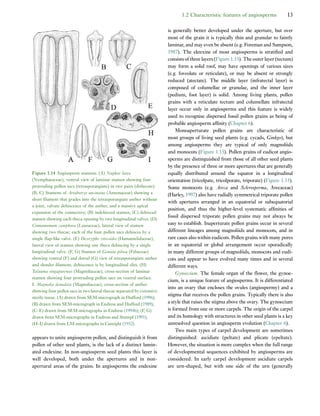 Early Flowers And Angiosperm Evolution Else Marie Friis Peter R Crane | PDF