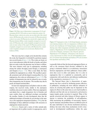 Early Flowers And Angiosperm Evolution Else Marie Friis Peter R Crane | PDF