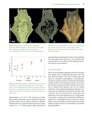 Early Flowers And Angiosperm Evolution Else Marie Friis Peter R Crane | PDF