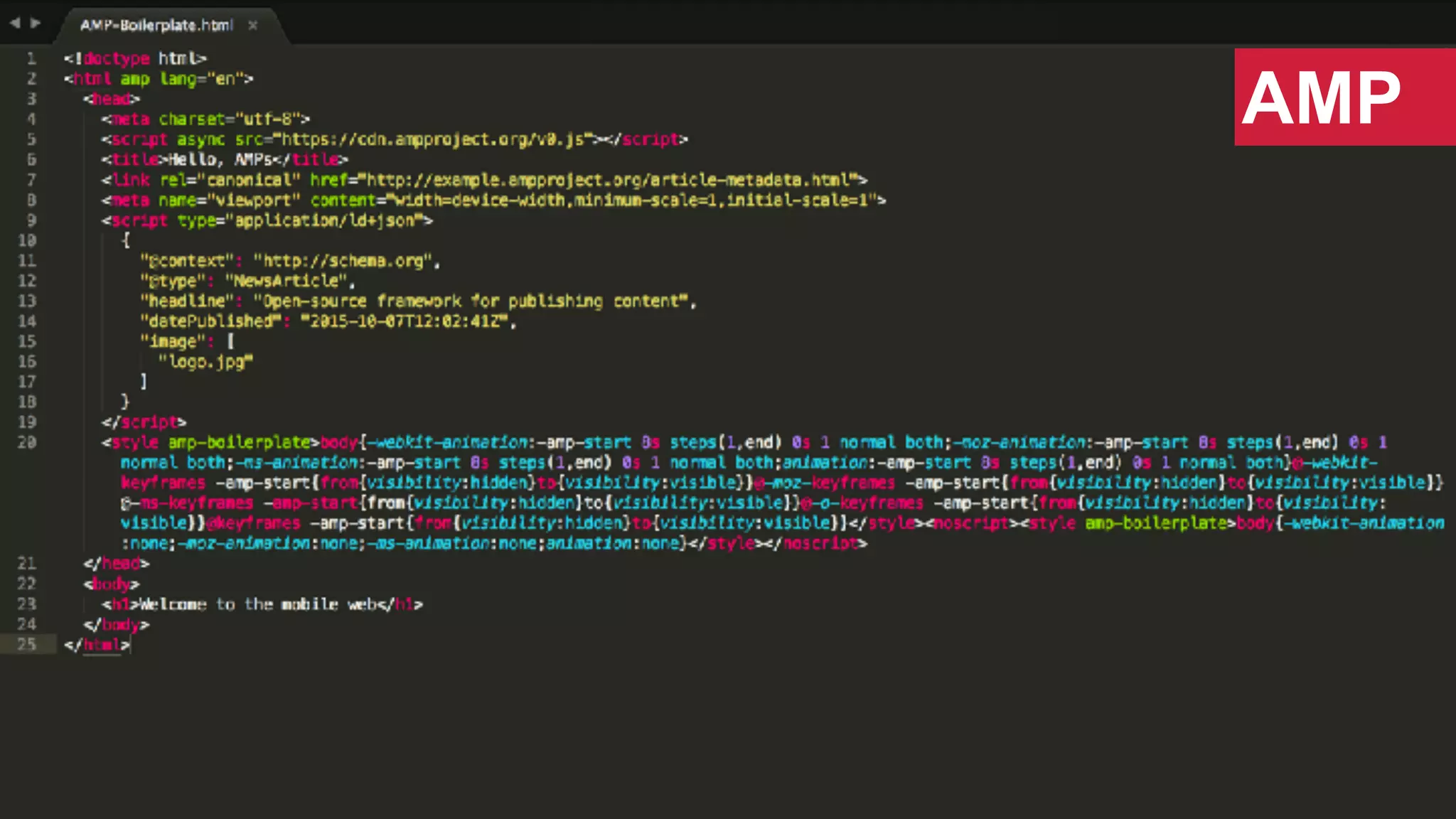 @SWallaceSEO | #INBOUND17
AMP
 